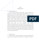 Metabolisme Protein