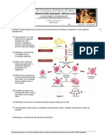 100-teste_escrito_15-03-2016