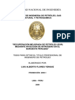 167651123-Inyeccion-de-Nitrogeno.pdf
