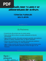 Animais Que Voam e Comem Peixes