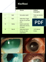 Klasifikasi dan Diagnosis Kerusakan Permukaan Mata Akibat Bahan Kimia