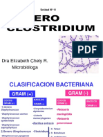 11generoclostridium 130811094233 Phpapp01