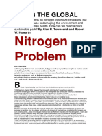 Fixing The Global: Nitrogen Problem