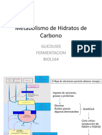 Clase 5 Metabolismo Hidratos de Carbono Glicolisis y Fermentacion Biol164 2018