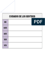 Cuidados de Los Sentidos Cuadro Comparativo