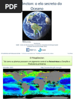 Fitoplancton, o Elo Secreto Do Oceano