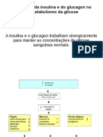 insulina+e+glucagon+2017.2.pdf