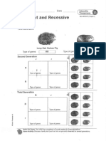 Dominant and Recessive Genes