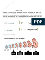 Fisiologia fetal: desenvolvimento dos sistemas