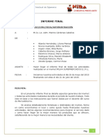 Informe Final Milka 2015 PDF