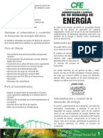 Administraciondelademandadeenergia.pdf