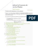 Cómo Identificar La Carencia de Nutrientes en Las Plantas