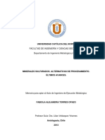 Lixiviacion de Sulfuros PDF