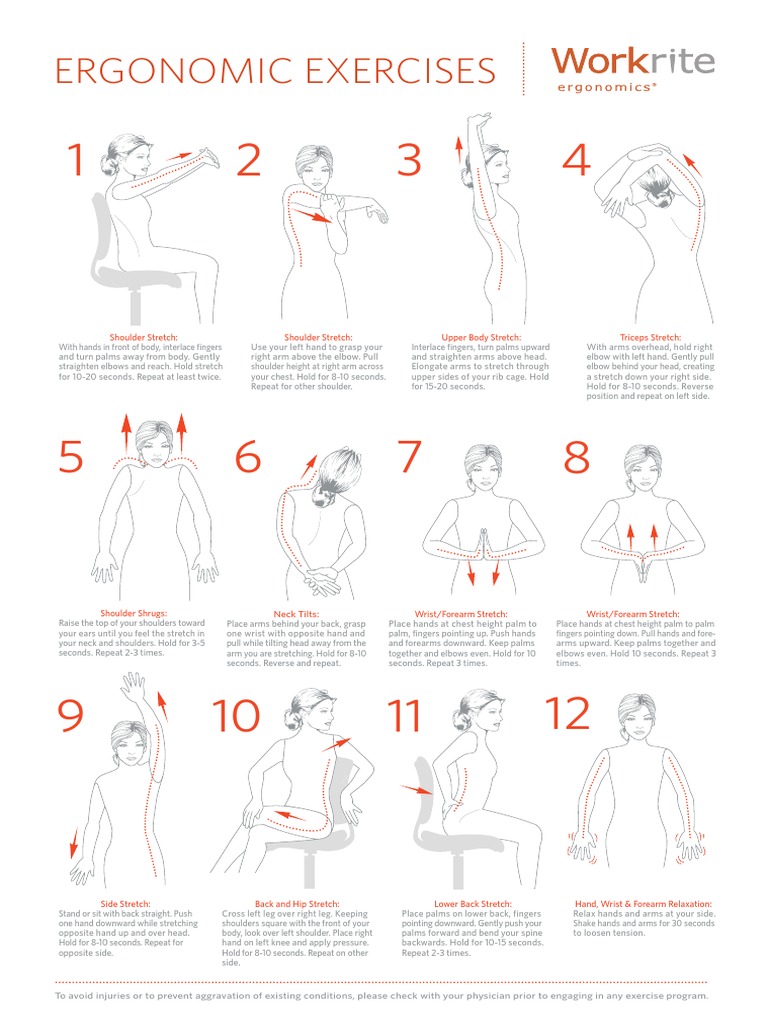 Ergo Exercise | PDF | Elbow | Arm