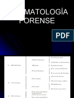 traumatologiaforense2-100901013211-phpapp01