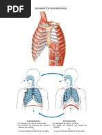 Mov_respiratorios