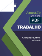 Apostila-Direito-Trabalho-Alexandre-Amui.pdf