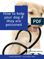 How To Help Your Dog If They Are Poisoned PDF