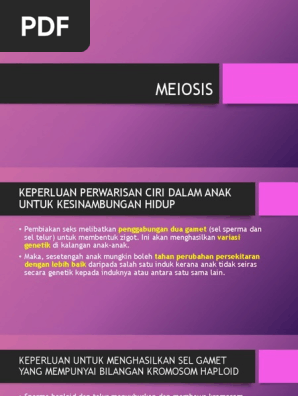 Meiosis Pdf