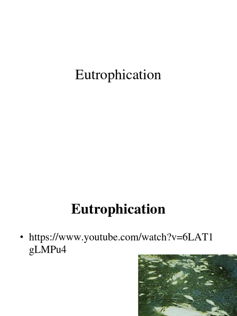 The Process of Cultural Eutrophication: How Excess Nutrients from Human ... Biology Diagrams