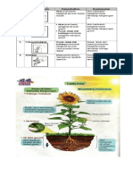 Tumbuhan Tahun 4