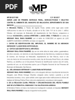 ACUSACION Y APERTURA A JUICIO.docx