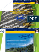 jm20141211 Simsa PDF