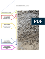 Perfil Estatigráfico de Calicata