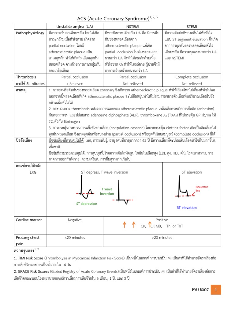 ACS รวม 3 PDF | PDF