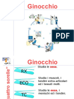 Presentazione Ginocchio