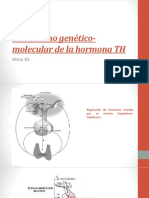 Mecanismo-genético-molecular-de-la-hormona-TH.pptx