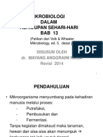 UEU Paper 6739 13. Mikrob DLM Kehidup 2014 1