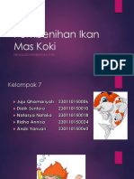 Ikan Mas