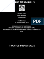 Traktus Piramidalis