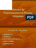 mejora plantas alógamas, presentación.pdf