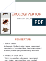 Ekologi Vektor