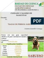 Razas de Perros Sabuesos_Jaramillo