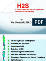 Hydrogen Sulfide (h2s) Gas Safety