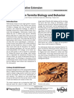 Subterranean Termite Behaviour