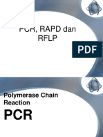 PCR, Rapd Dan RFLP