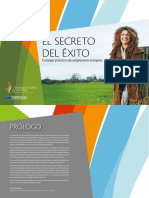 El-secreto-del-exito.pdf