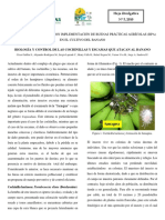 HOJA DIVULGATIVA Nb05-2011 - MIP COCHINILLAS Y ESCAMAS PDF