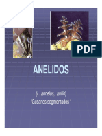 Anelidos