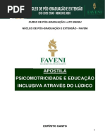 Psicomotricidade Educação Inclusiva Através Do Lúdico