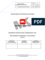 P-PR 17 Andamios y Plataformas PDF