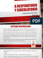 Sistema Respiratorio y Circulatorio