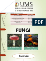 Fungi (Bioprocess)