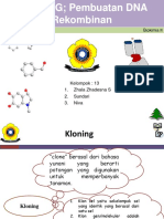 Kelompok 13 Kloning Pembuatan DNA Rekombinan