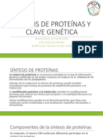 Síntesis de Proteínas y Clave Genética