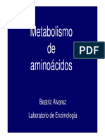 Metabolismo de Los Aminoácidos - Síntesis de Aminoácidos No Escenciales y Degradación de Los Esqueletos Carbonados. (5-09-11) PDF